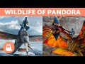 12 AVATAR ANIMALS in REAL LIFE 🦎🦌 (Pandora&#39;s Fauna)