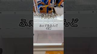 救出失敗!! サラブレッドコレクション レモンポップ ふぇすたらんど金剛 2025.8.14 #サラブレッドコレクション