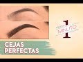 Como Maquillar las Cejas | Cejas Perfectas