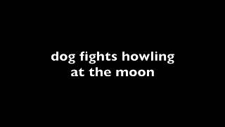 Charles Moothart - Little Egg (Lyric Video)