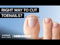 Podiatrists Debunk 11 Feet Myths Debunked Science Insider Podiatrists Debunk 11 Feet Myths Debunked Science Insider