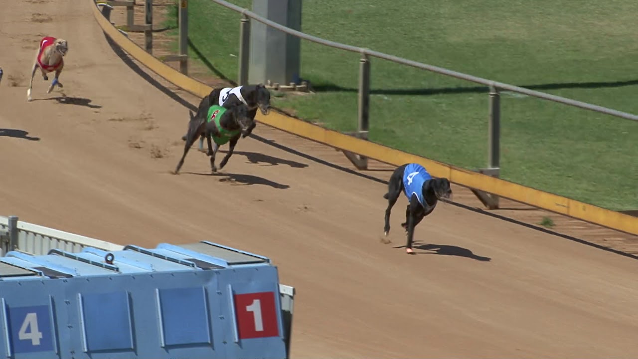 Gawler10032020Race5 YouTube