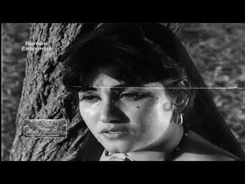 DONGIAN SHAAMAN AIYAN NOOR JEHAN CLASSIC HD SONG SAJRAY PHUL VOL 4