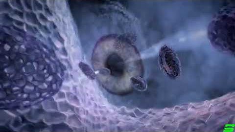 Tom Lacy-travel with the harmonizer (space music)  2009