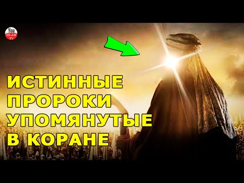 КТО ТАКИЕ ПРОРОКИ И ПОСЛАННИКИ АЛЛАХА\\ СКОЛЬКО ПРОРОКОВ УКАЗАНО В КОРАНЕ\\ КТО ТАКИЕ ПРОРОКИ\\