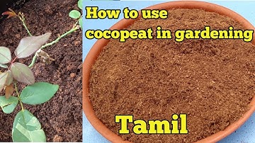 How to use cocopeat for gardening in Tamil/how to use cocopeat block for plants/ #gardenlifecreation