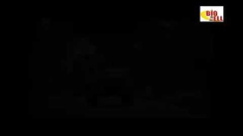 lagu karo usman ginting kai hukum na