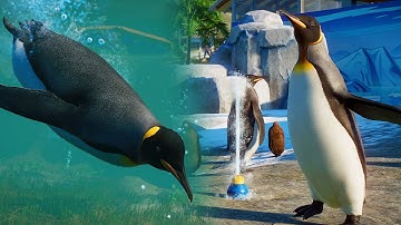 AQUATIC PACK! Penguins! Diving Animals! | Planet Zoo DLC Announcement
