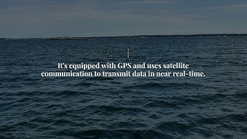 Deploying a SOFAR Spotter Wave Buoy | Real-Time Ocean Monitoring with MARACOOS & OceansMap