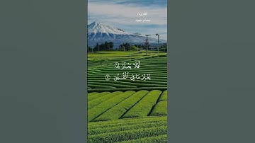 #قران_كريم #ماتيسر من سورة العاديات #عصام_حمود