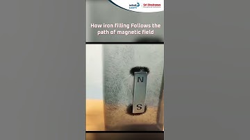 How Iron Fillings Follow the Path of Magnetic Field | Science Experiment #science #magneticfield