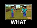 WAIT WHAT (Minecraft) #11
