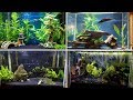 4 EASY Tank Setups for a 20-Gallon Aquarium