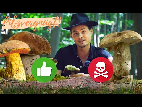 Video: Stinkmorchel-Pilz-Kontrolle – Wie man Stinkmorchel-Pilze loswird
