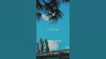 سورة الإخلاص #القرآن_الكريم #قران_كريم #المصحف