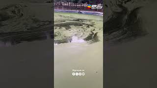 Patitos nadan en lago contaminado del Bosque Urbano de #Saltillo