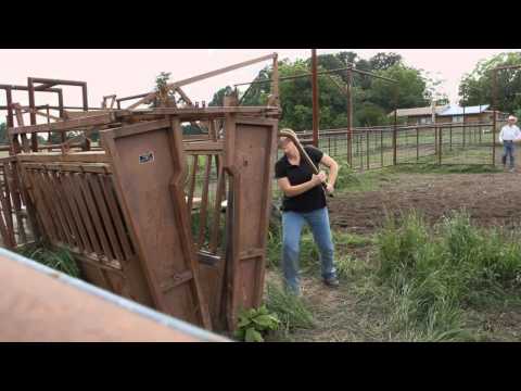 Dr. Amy Jordan - Large Animal Veterinarian
