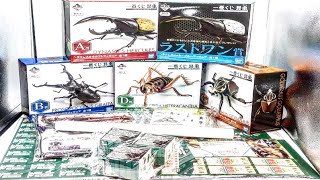 タガメがいる奇跡！一番くじ 昆虫 LIFE with INSECT 全種類開封レビュー【ヘラクレスオオカブト】おもちゃ フィギュア