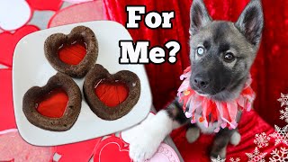 Strawberry Carob Cupcakes For Dogs  Valentines DIY Dog Treats