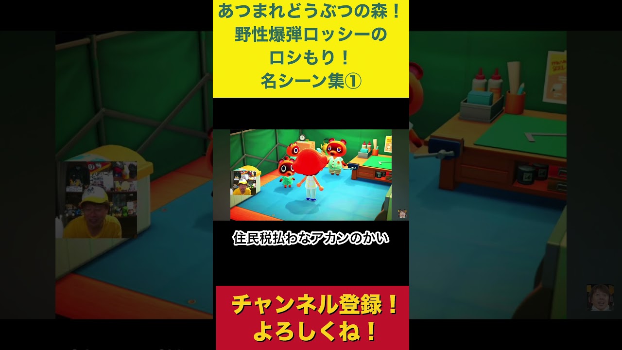 【あつまれどうぶつの森】名シーン集① #あつ森 #あつまれどうぶつの森 #野性爆弾ロッシー #たぬきち