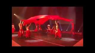 Testa Dance Show - Полотна