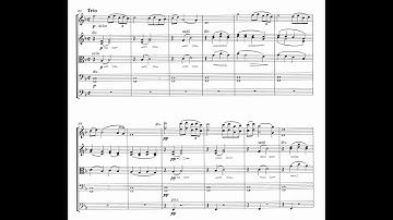 Franz Schreker - Scherzo for String Orchestra (1900) [Score-Video]