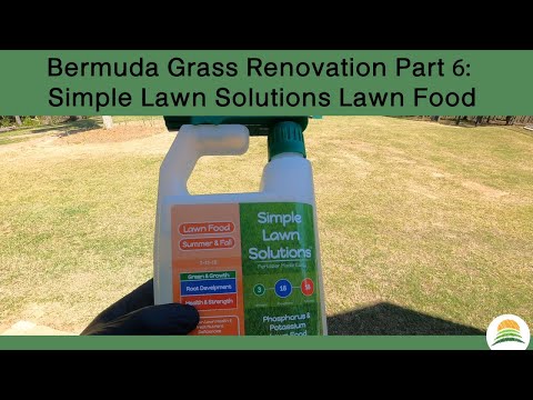 Simple Lawn Solutions