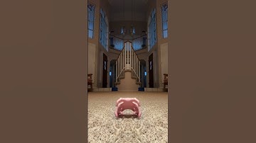 Meet the floating hand spider!