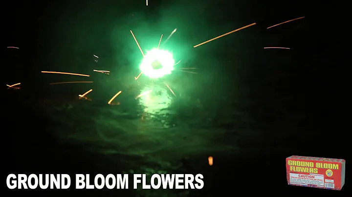 Ground Bloom Flower - DayDayNews