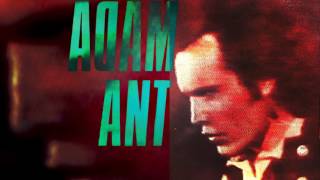 Video thumbnail of "Desperate But Not Serious by Adam Ant REMASTERED"