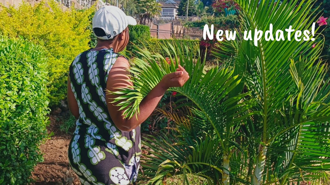 Garden and poults update inside our homestead. 