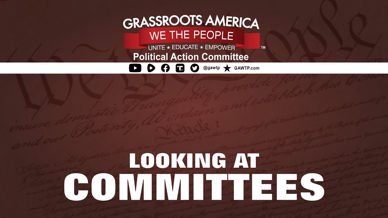 looking-at-committees-with-grassroots-priorities-youtube