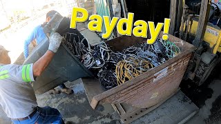 Dumpster Diving- Recycling over 300lbs of insulated Copper wire! Payday!