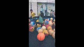 VID 20160731 162001
