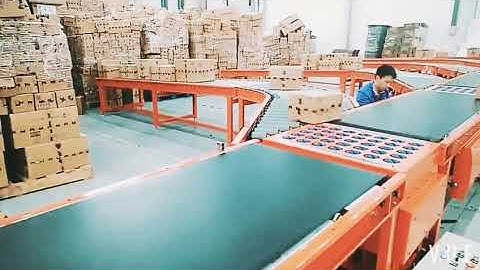 Ball Sorting conveyor