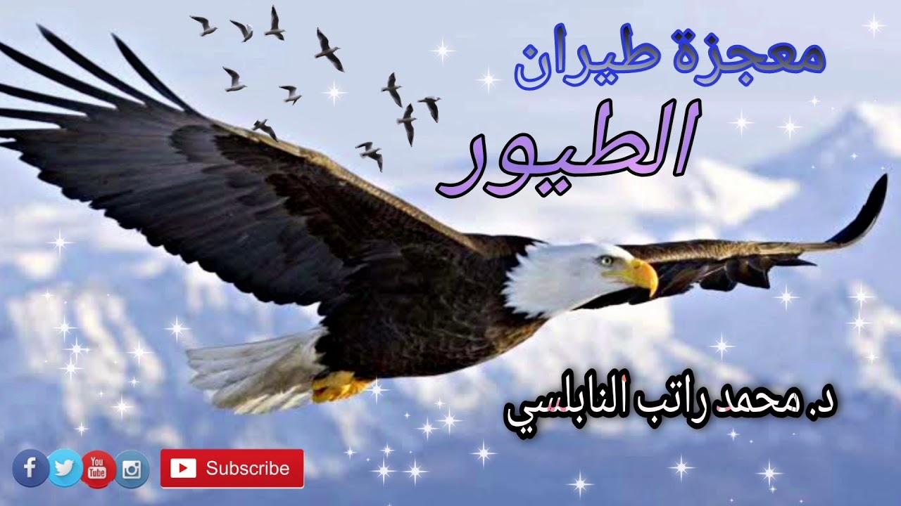 معجزة طيران الطيور | الدكتور محمد راتب النابلسي