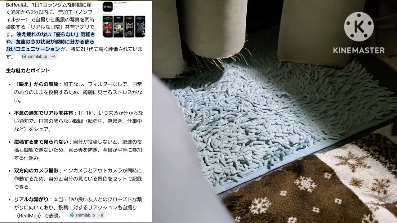 BeRealやってる奴、不採用か解雇の世の中で草