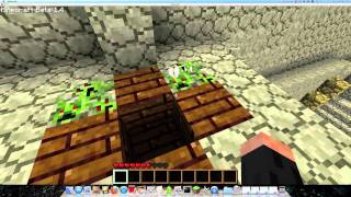 Minecraft - Drown Trap SMP