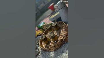 سورة الضحى صوت رائع ماشاء الله