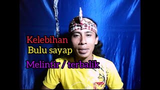 Apa kelebihan bulu sayap aym terbalik