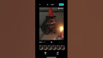 Rate this edit 1 through 10