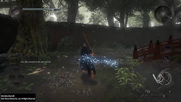 Nioh Beta Demo Training