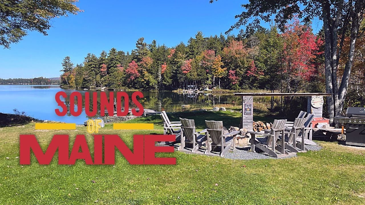 Sounds of Abrams Pond, Maine YouTube