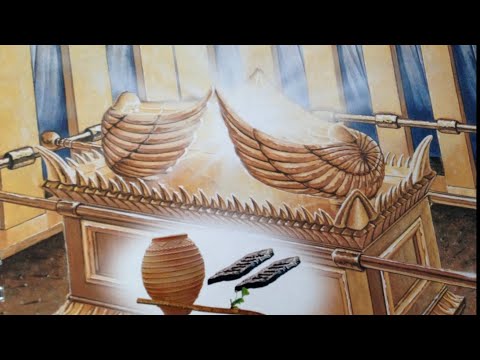 عاجل اختار الليلة انتبه