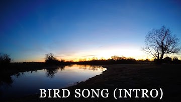 Florence + The Machine - Bird Song (Intro)