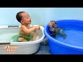 Monkey kaka and diem eagerly preparing to take a bath look so cute