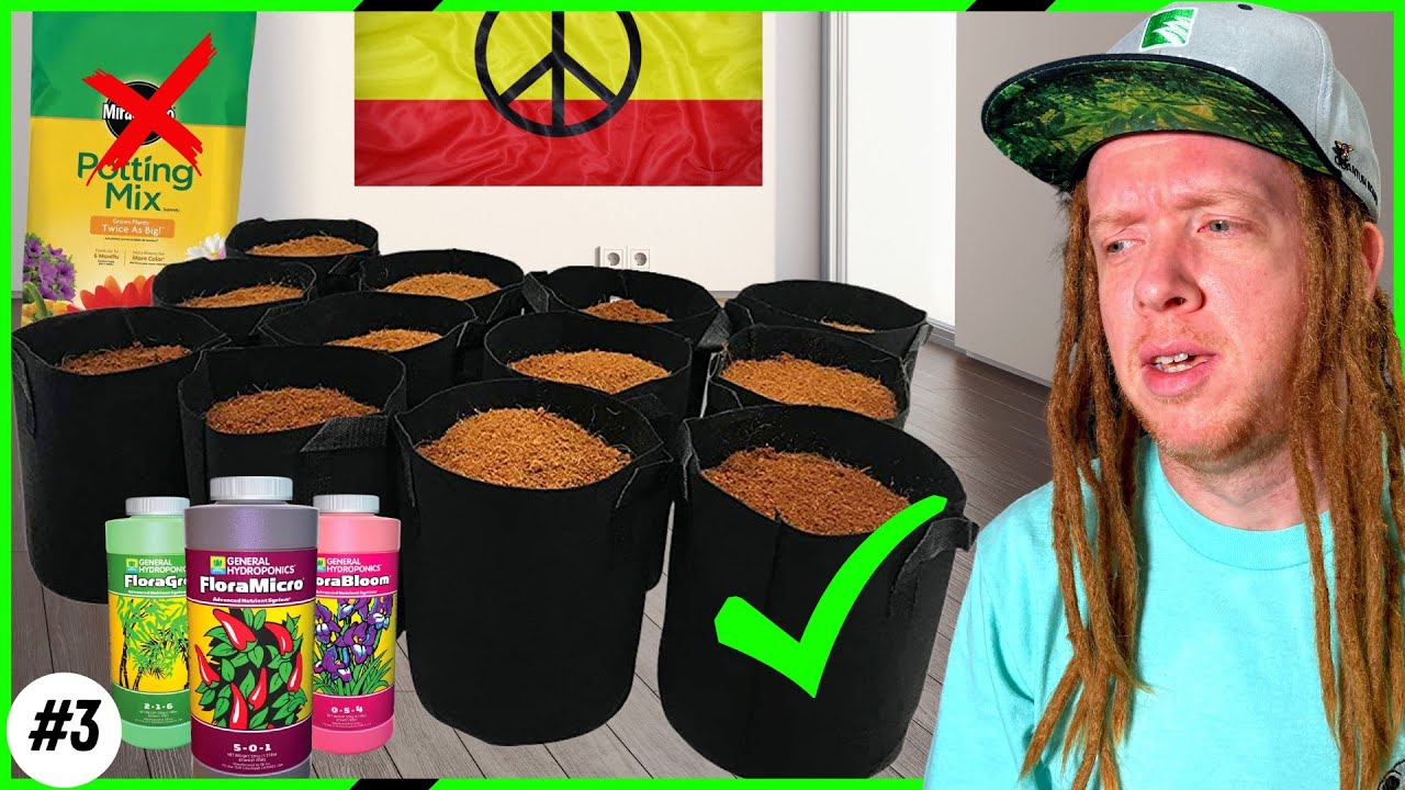 🌱Soil and Nutrient Tips for Maximum Yield