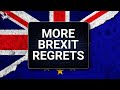 Brexit regrets  outside views