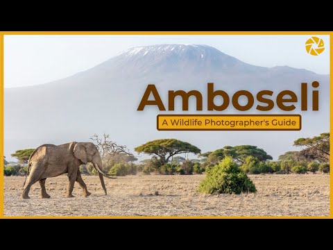 Video: Narodni park Amboseli: Popoln vodnik