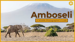 Amboseli National Park - A Wildlife Photographer&#39;s Guide.
